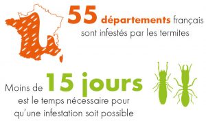 carte des départements français infestés par les termites